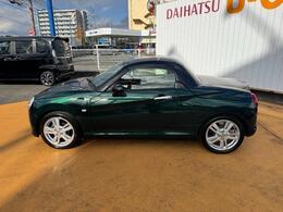 人気のカラー☆