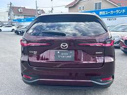 個性的でカッコいいリヤのスタイリングです。