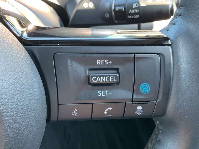 プロパイロット付いてます。