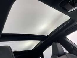 【ルーフ】大きなへこみや色褪せもなくきれいな状態です！ひょう害車は販売いたしませんのでご安心ください。