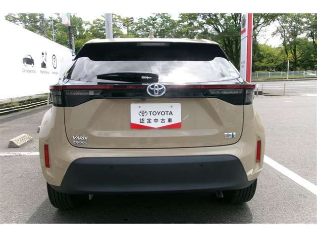 後方からの写真です。大きなバックドアで荷室も広々と確保。