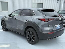 バックだけでなく