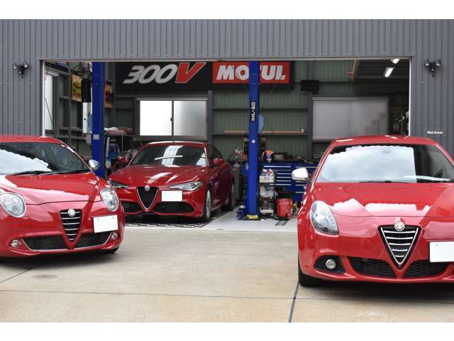 当店の車両をご覧いただき誠に有難う御座います。当店はイタリア・フランス車専門店です。