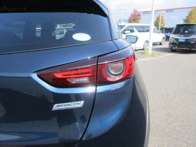 暗い夜道や霧が深い時などにはテールランプが大活躍！夜間などに車の位置と車幅を後続車に知らせる事ができるので、運転手が安心して走行できます♪