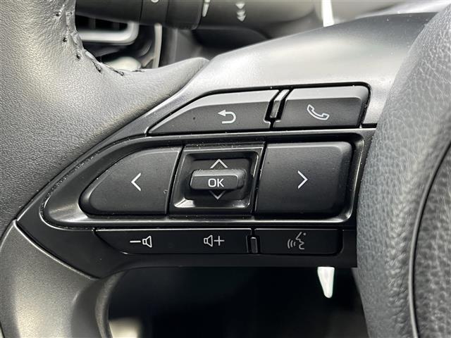 【運転席操作部】快適なドライブを楽しむための機能が装備されています！運転席から触れるので、使いやすいです！除菌プランいれていただくと、さらに清潔で安心していただけます！