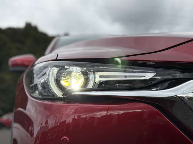 ヘッドライトの状態も非常に良いです！
