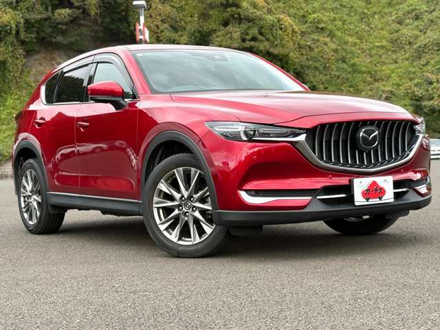 指定工場完備となっておりますので、ご購入後の車検・メンテナンスもお任せください！