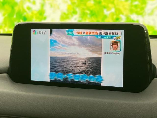 フルセグTV