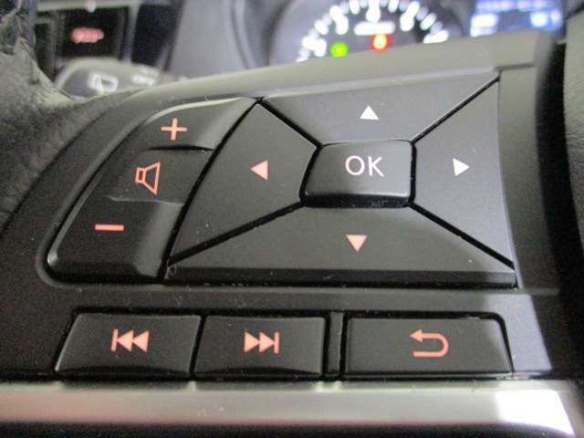 左側、車両情報切替、オーディオ操作スイッチ！