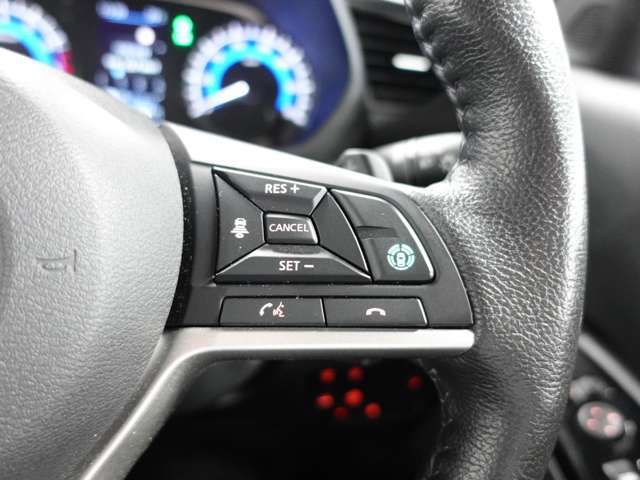 マイパイロット付き