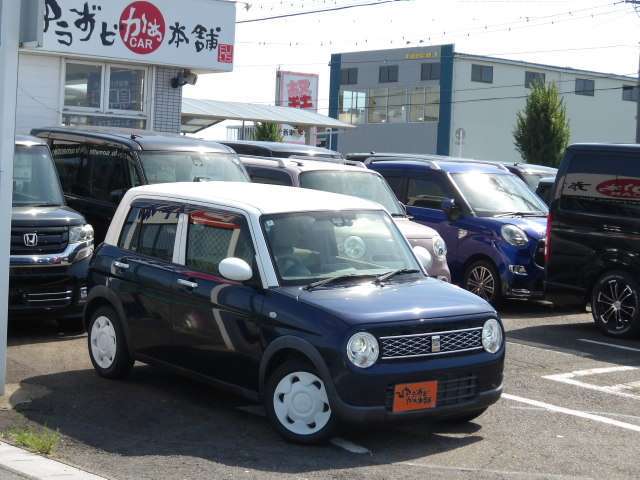 前からの右向きです。