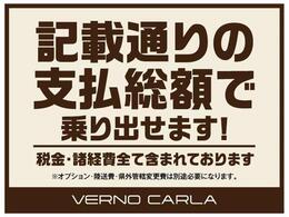 掲載通りの支払総額で乗り出せます。※オプション・陸送費用・県外管轄変更費用は別途必要になります
