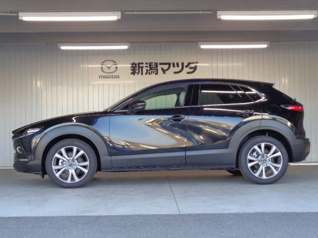 光の映り込みを考慮した流麗なスタイリングのお車ですよ！！