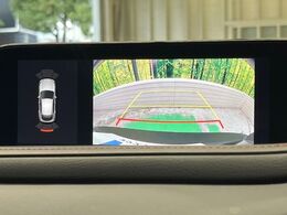 【バックカメラ】後方視野の不安もこれで解決！