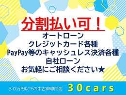 オートローンや各種キャッシュレス決済でお支払可能です♪詳しくは販売店までお問い合わせください！