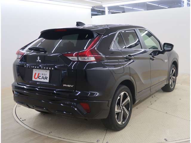 リヤワイパー・プライバシーガラス装備