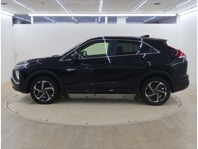 左サイドからの画像です。ボディクリーニング済です。