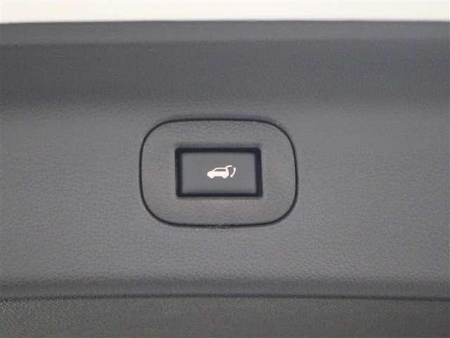 パワーバックドアのスイッチです。