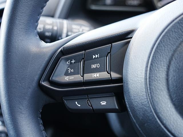 ステアリングには各種スイッチを配置。左手は主にオーディオの操作を行えます。一部機能は音声による操作も可能です。