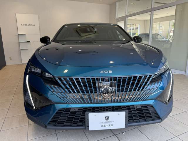 特徴的なフロントデザインでございます。