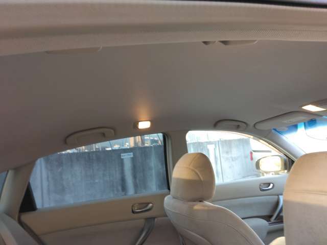 美しい天井廻り。
