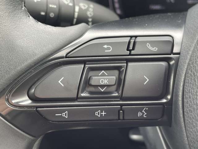 【運転席操作部】快適なドライブを楽しむための機能が装備されています！運転席から触れるので、使いやすいです！除菌プランいれていただくと、さらに清潔で安心していただけます！
