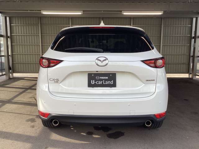 急ブレーキをかけたとき、後続車に危険を知らせるエマージェンシーシグナルシステムも搭載。