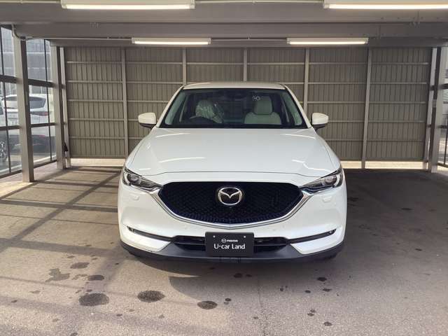 当社休日は毎週火曜と第2・3・4水曜日です。また長期連休を頂いている場合もございますので。詳しくは問い合わせフォームから、もしくは電話番号0078-6002-916165までお訊ねください。