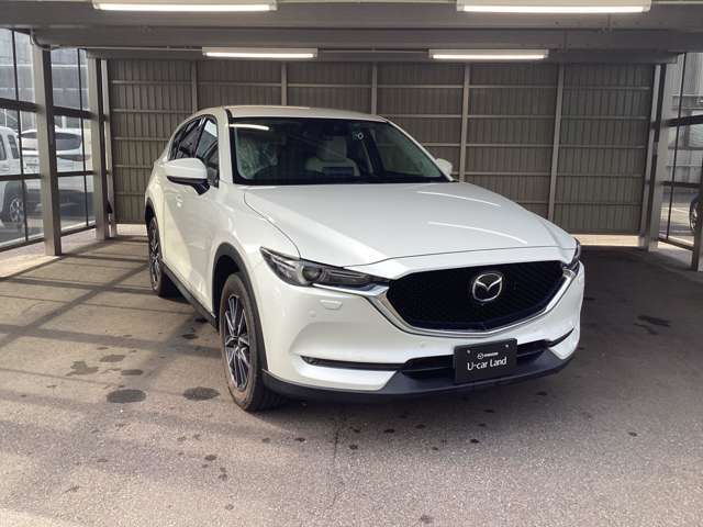 LEDヘッドライトは雪や氷が付着した時は融けにくいという弱点がありますが、ライト下から液を噴射することで表面についた雪や氷を吹き飛ばし、夜間や雪道でもしっかり光が届き安全に運転することができます。