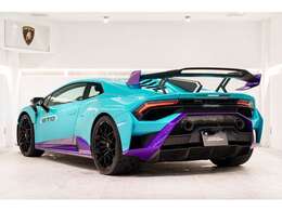 Rear diffuser in visible Carbon Fiber Matt