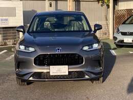 【スーパープラチナメタリック】