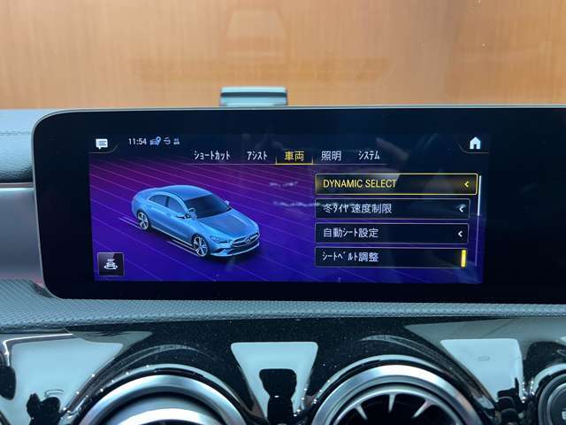 輸入車ディーラー採用のドライブレコーダーも選べます。万が一の事故の際のお守りとしていかがでしょうか？その他様々なオプションをご用意しております。
