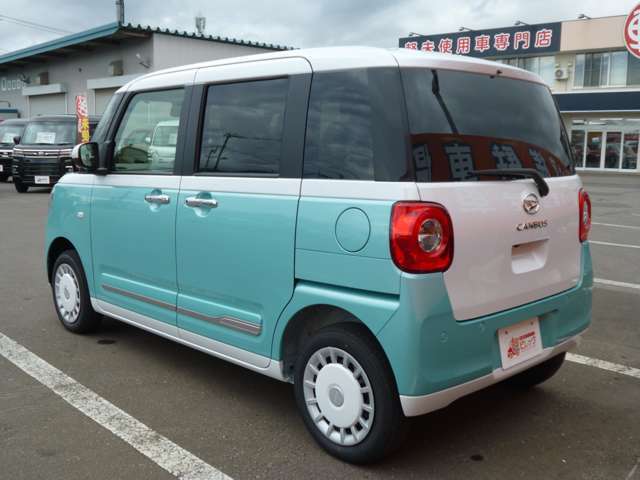 シャイニングホワイトパールファインミントメタリック