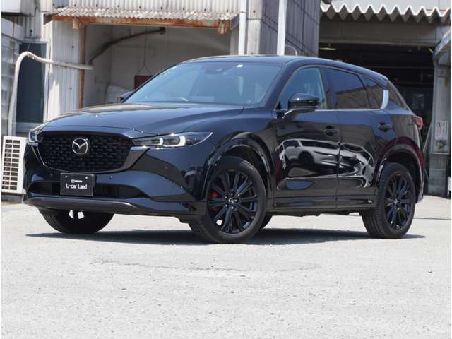 力強いフロントフェイスと流線形の車体が調和し、先進的で洗練された印象を与えます。ダイナミックでスポーティな外観が特徴です。