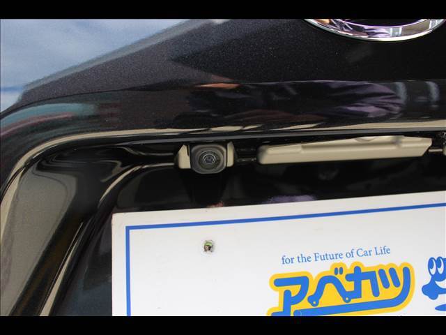 店内の大きなショールームには人気車種を展示してあります。暑い日でも涼しい店内でゆっくりご覧いただけます。