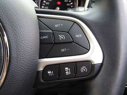 【追従型クルーズコントロール】光学レーダーやビデオカメラを使って前車の動きをチェックして、車間距離を適切に保って一定のスピードをキープするシステム。代表例）アイサイト・レーダークルーズコントロール