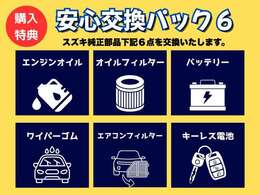 安心交換パック6で安心整備付！
