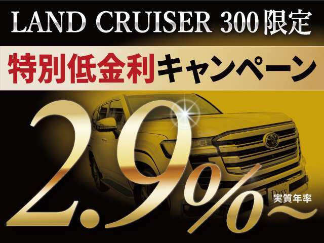 低金利ローン受付中！頭金なしボーナスなしOK！最長120回支払までご利用可能！残価設定ローンもございます。