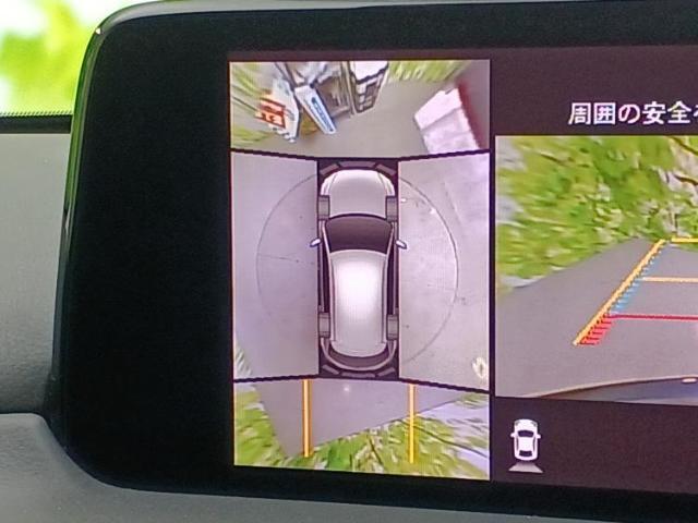 WECARSの展示場では実際に見て、触ってお車をお選びいただけます！知識の豊富な営業スタッフが様々なカーライフをご提案いたします！