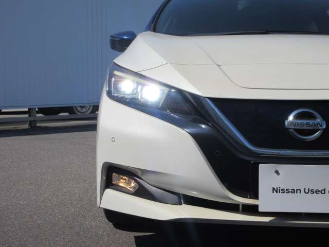LEDヘッドランプ（ハイ/ロービーム、オートレベライザー付、シグネチャーランプ付）とハロゲンフォグランプ