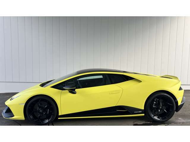 特別カラーリングエディションFluo CapsuleボディカラーGiallo　Clarus