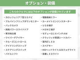 オプション多数装備！オプションの詳細はスタッフまでお気軽にお問い合わせください！