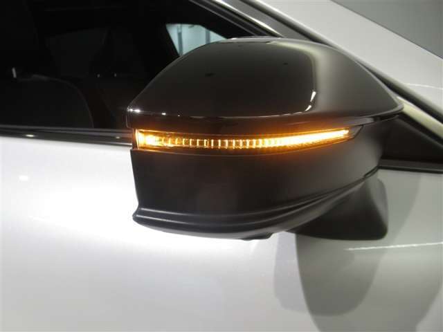 ドアミラーです