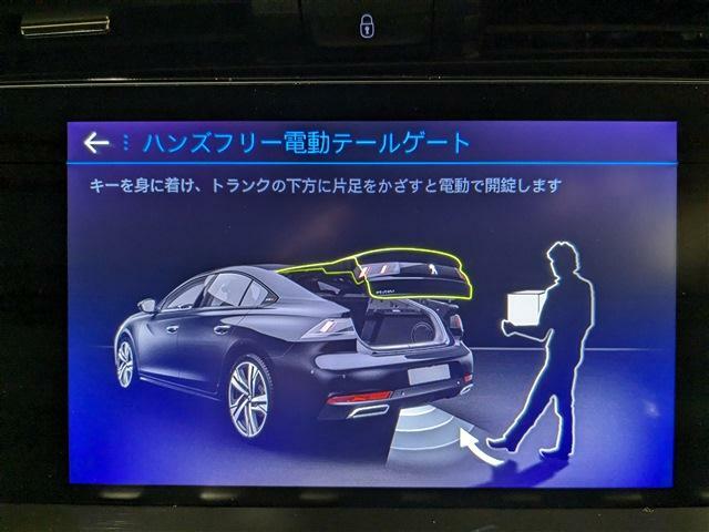 手荷物を持っている際に便利なハンズフリー電動テールゲートです