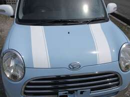 ●ボンネットはストライブでアクセント！