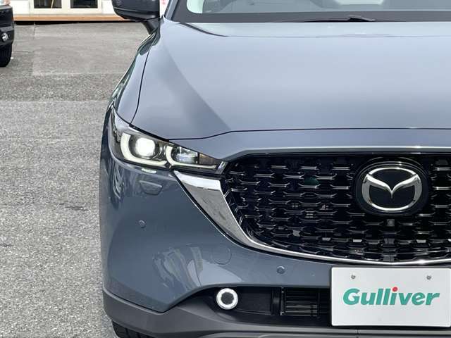 【ライト・ランプ】『ライト/ランプ周辺』の画像になります。写真の内容に関してご不明点、ご質問等がございましたらお気軽にガリバー店舗までお問い合わせください。