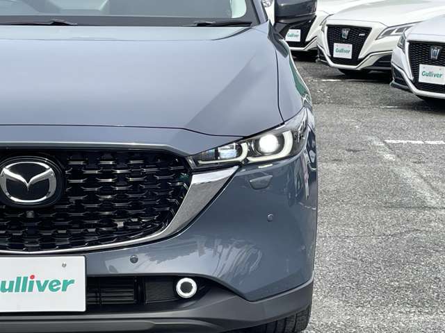 【ライト・ランプ】『ライト/ランプ周辺』の画像になります。写真の内容に関してご不明点、ご質問等がございましたらお気軽にガリバー店舗までお問い合わせください。