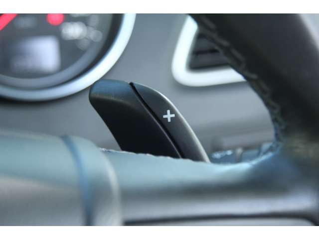 当社ホームページです。是非ご確認下さい。https://e-carsearch.net/legran/