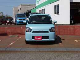 ■車体色　サニーデイブルーM