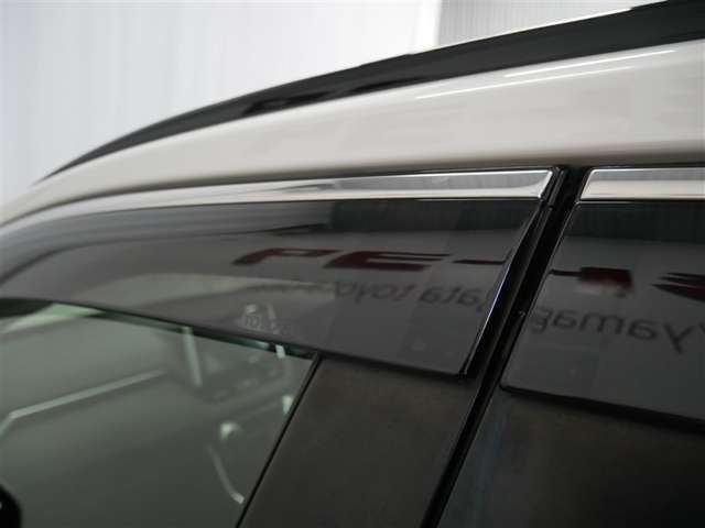 雨の日も安心サイドバイザー